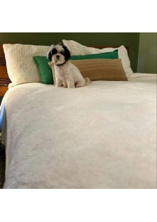 Chenille Throw Blanket 