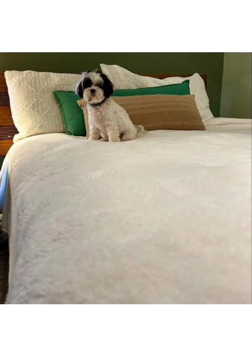 Chenille Throw Blanket 