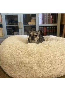 Donut Bolster Dog Bed 