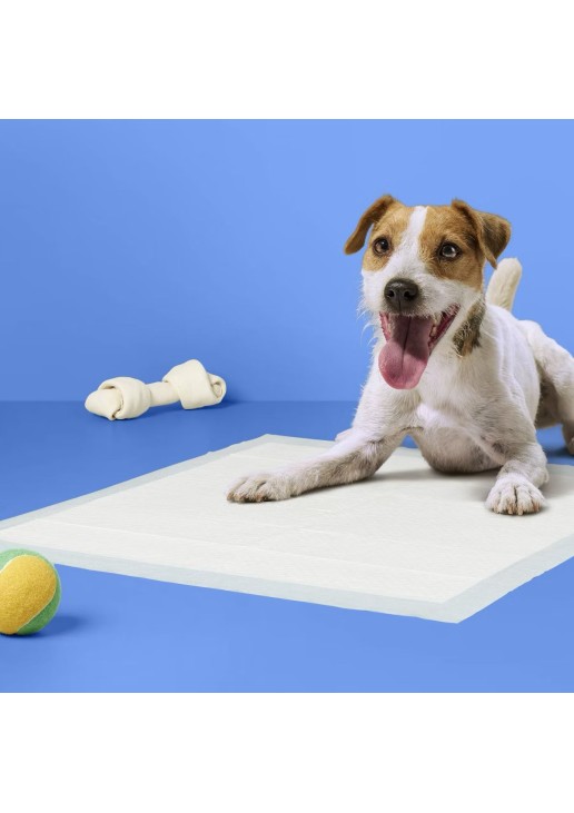 Dog Training Pads - L - 100ct