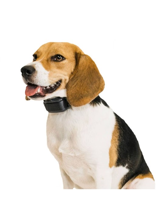 Premier Pet Bark Adjustable Collar